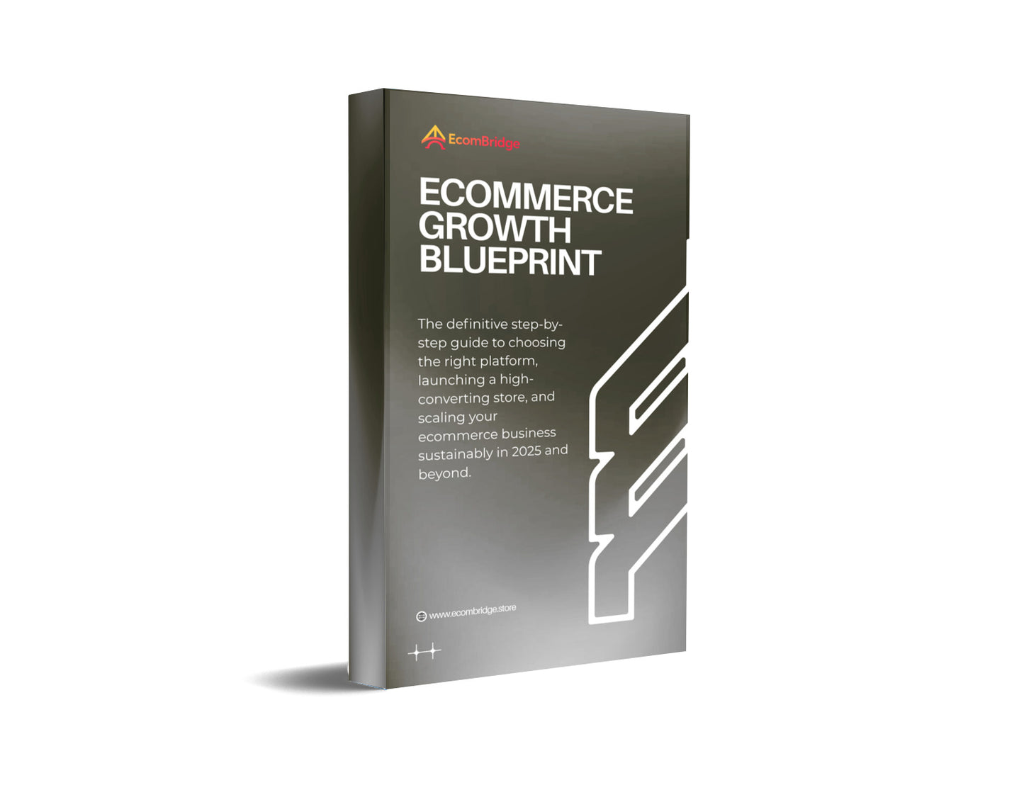 Ecommerce Growth Blueprint